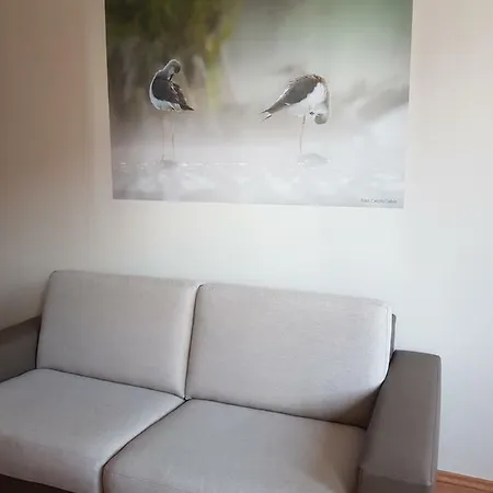 Karos Wellness Apartman *